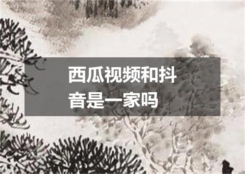 西瓜视频和抖音是一家吗