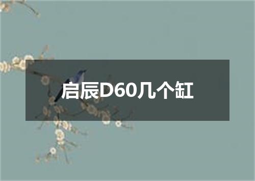 启辰D60几个缸