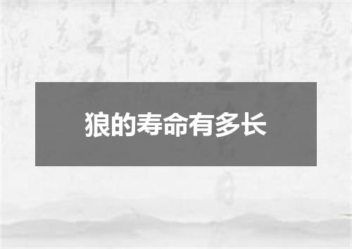 狼的寿命有多长