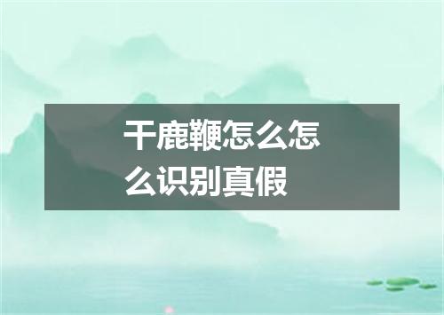 干鹿鞭怎么怎么识别真假