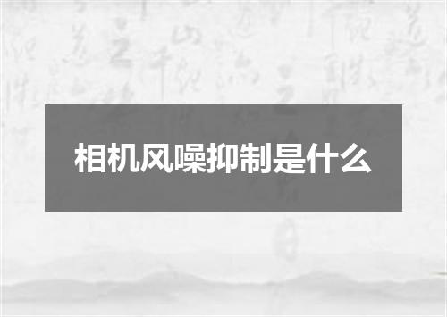 相机风噪抑制是什么
