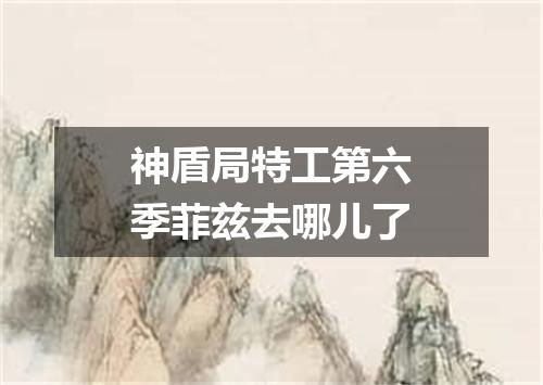 神盾局特工第六季菲兹去哪儿了