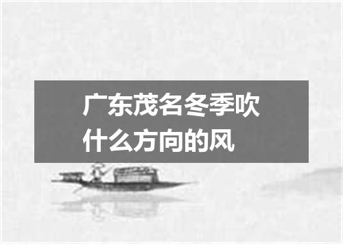 广东茂名冬季吹什么方向的风