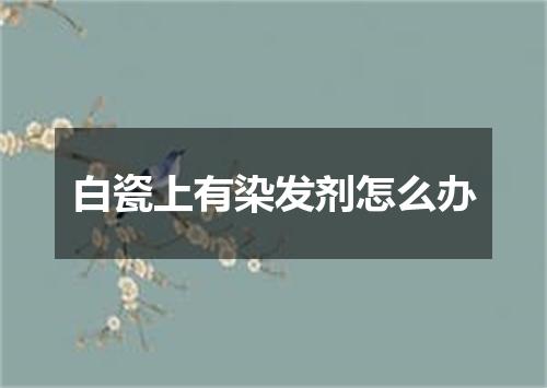 白瓷上有染发剂怎么办