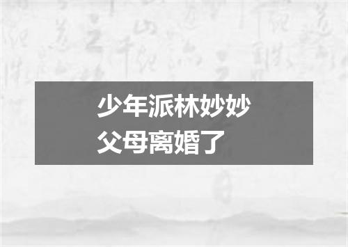 少年派林妙妙父母离婚了