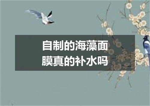自制的海藻面膜真的补水吗