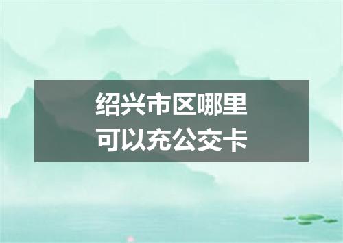 绍兴市区哪里可以充公交卡
