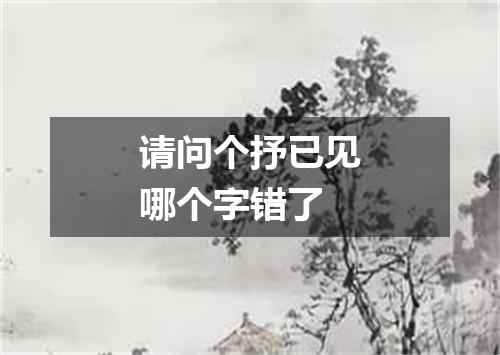 请问个抒已见哪个字错了