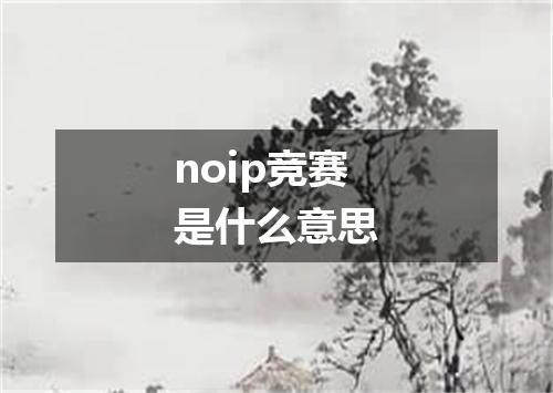 noip竞赛是什么意思