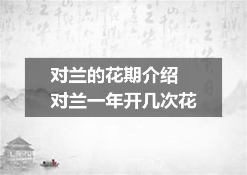 对兰的花期介绍 对兰一年开几次花