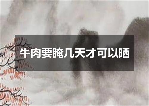 牛肉要腌几天才可以晒