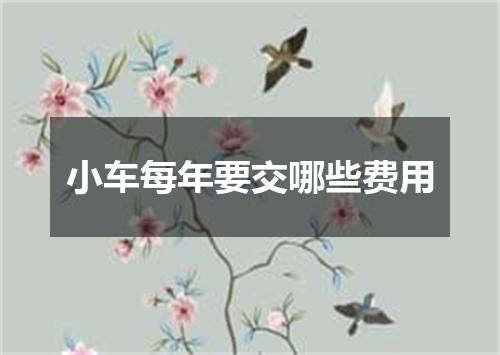 小车每年要交哪些费用