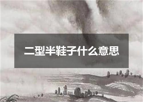 二型半鞋子什么意思