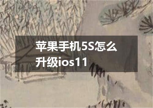 苹果手机5S怎么升级ios11