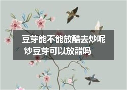 豆芽能不能放醋去炒呢 炒豆芽可以放醋吗