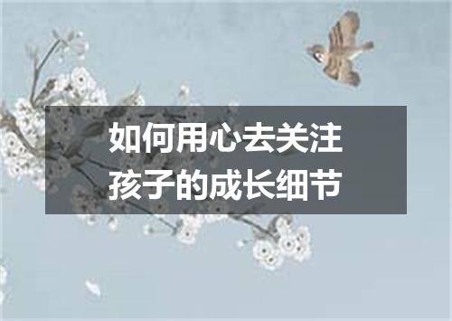 如何用心去关注孩子的成长细节
