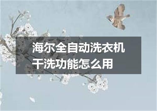 海尔全自动洗衣机干洗功能怎么用