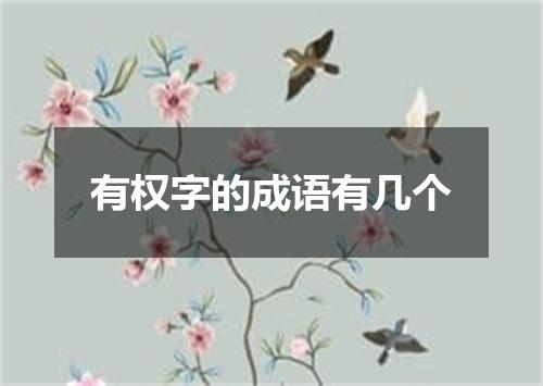 有权字的成语有几个