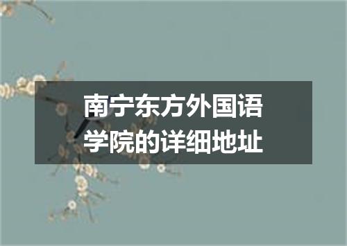南宁东方外国语学院的详细地址