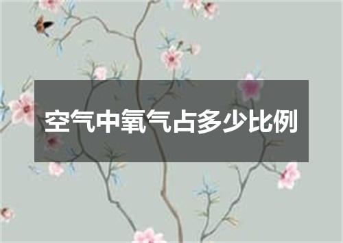 空气中氧气占多少比例