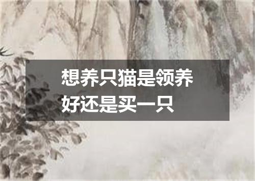 想养只猫是领养好还是买一只