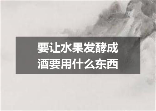 要让水果发酵成酒要用什么东西