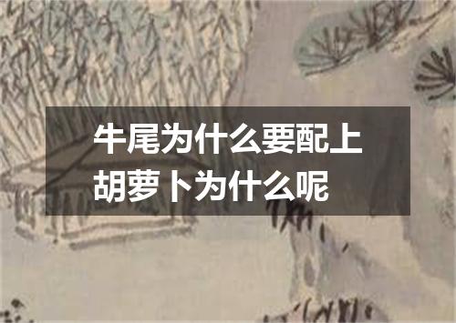 牛尾为什么要配上胡萝卜为什么呢