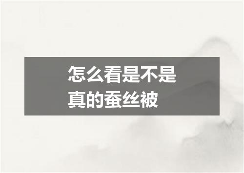 怎么看是不是真的蚕丝被