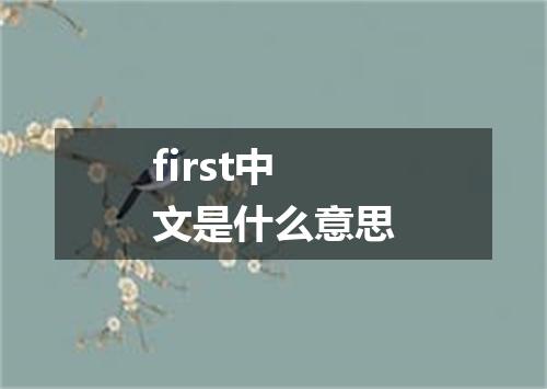 first中文是什么意思