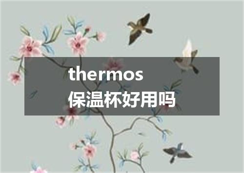 thermos保温杯好用吗
