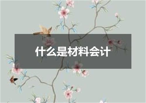 什么是材料会计
