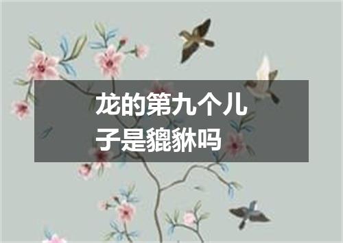 龙的第九个儿子是貔貅吗