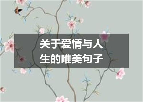 关于爱情与人生的唯美句子