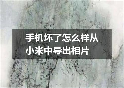 手机坏了怎么样从小米中导出相片