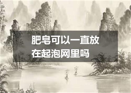 肥皂可以一直放在起泡网里吗