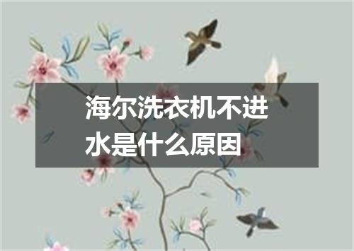 海尔洗衣机不进水是什么原因