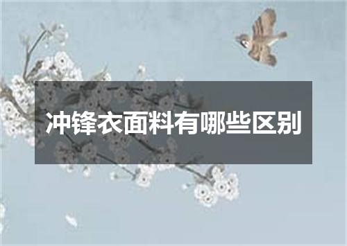 冲锋衣面料有哪些区别