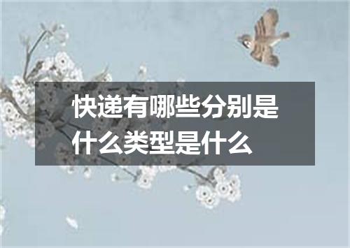 快递有哪些分别是什么类型是什么