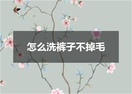 怎么洗裤子不掉毛