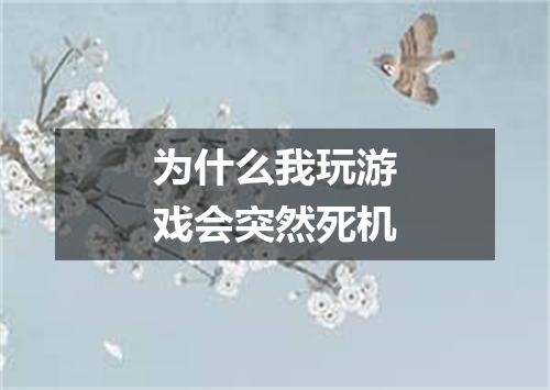 为什么我玩游戏会突然死机