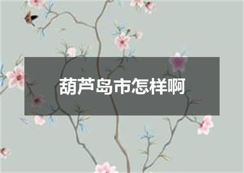 葫芦岛市怎样啊