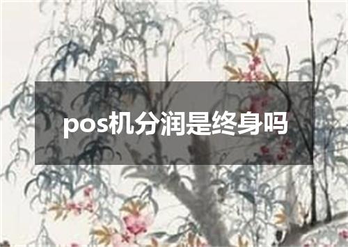 pos机分润是终身吗