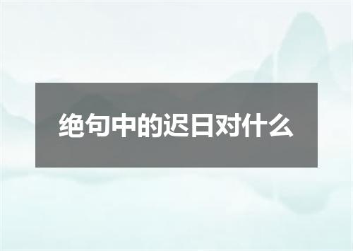 绝句中的迟日对什么