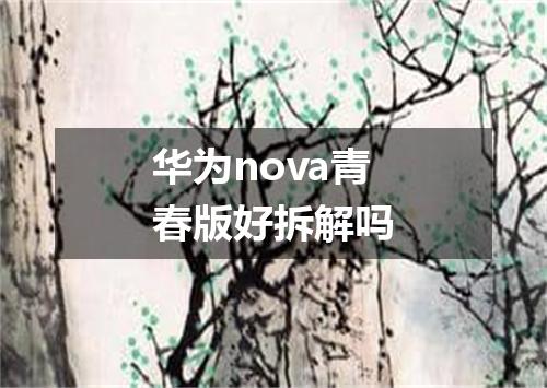 华为nova青春版好拆解吗