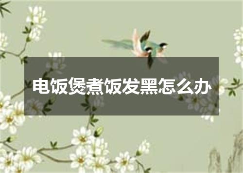 电饭煲煮饭发黑怎么办