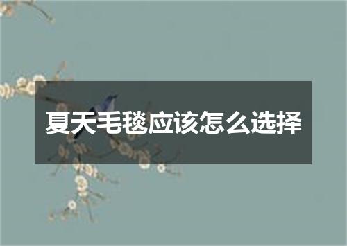 夏天毛毯应该怎么选择