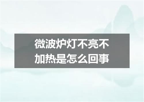 微波炉灯不亮不加热是怎么回事
