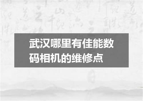 武汉哪里有佳能数码相机的维修点
