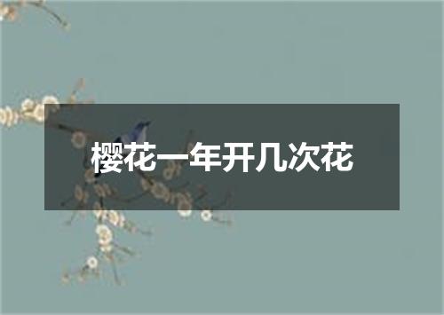 樱花一年开几次花