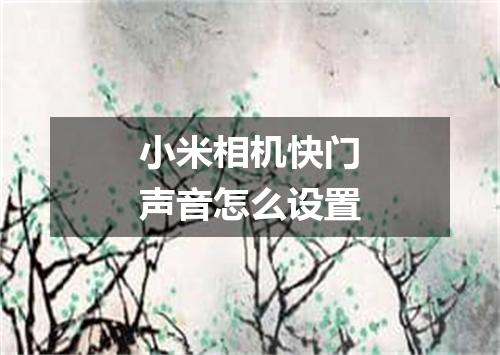 小米相机快门声音怎么设置